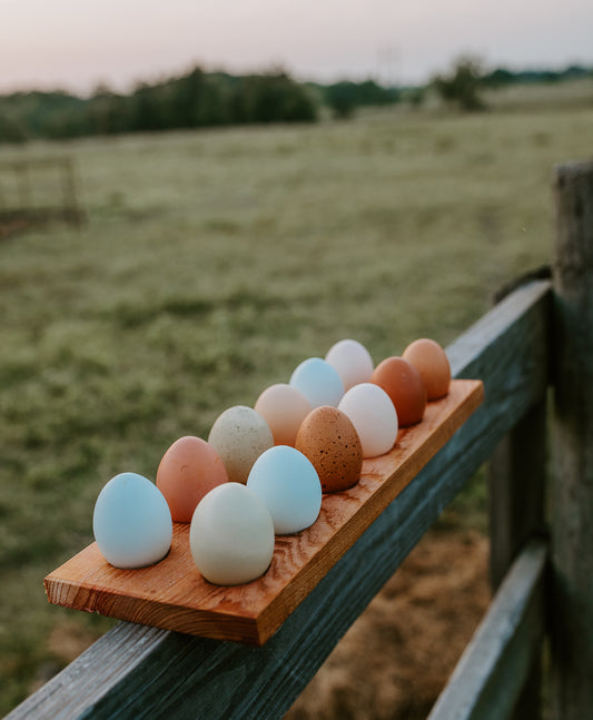 Fresh Eggs