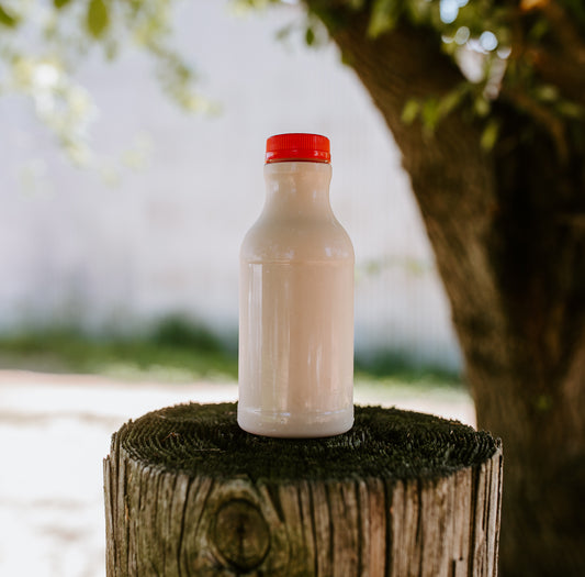 Raw Chocolate Milk