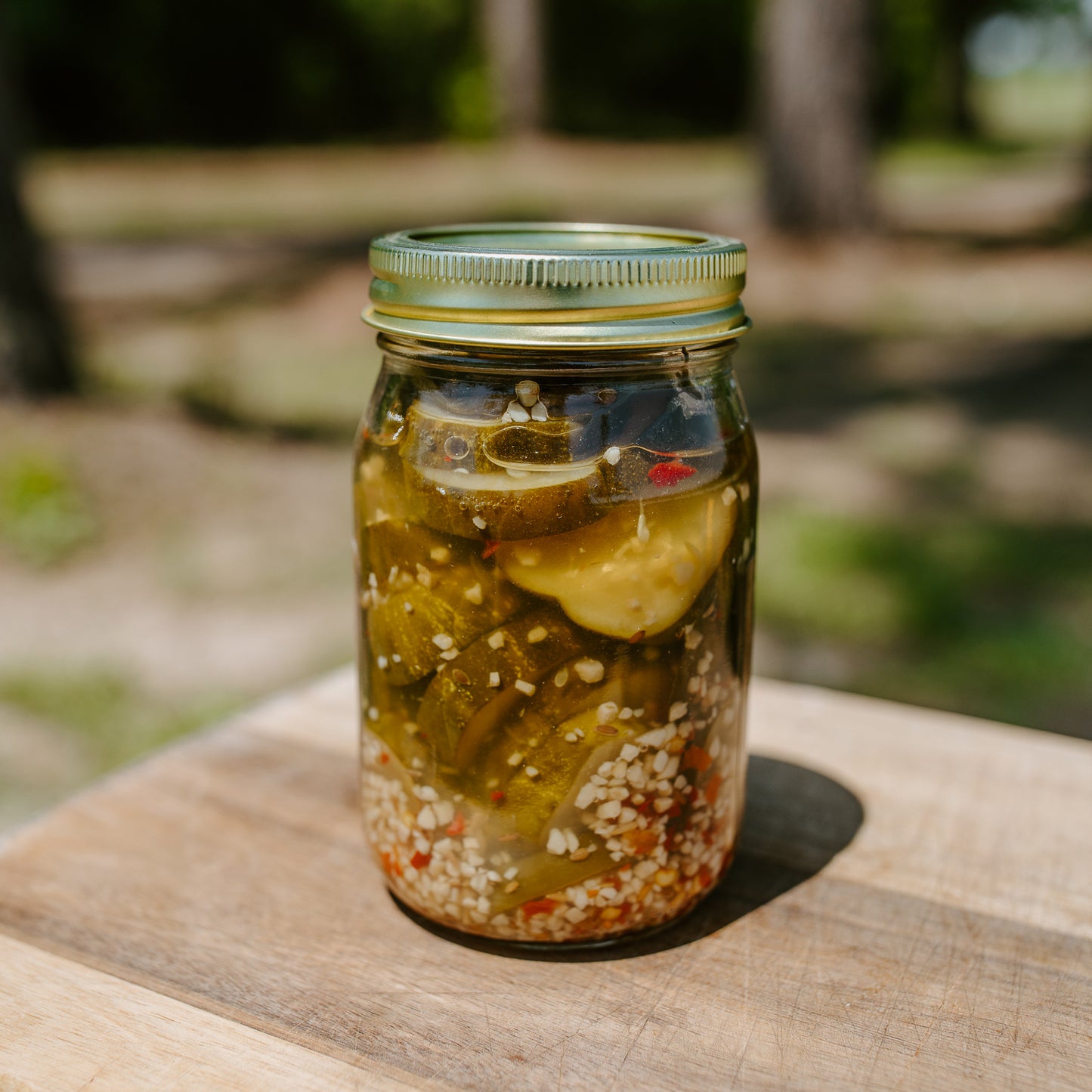 Spicy Garlic Dill Pickles